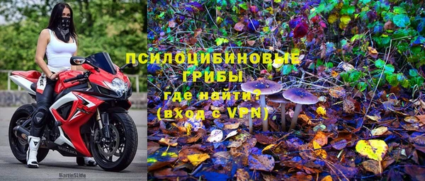 не бодяженный Беломорск
