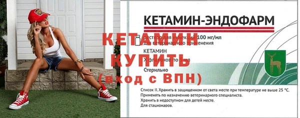 ГАЛЛЮЦИНОГЕННЫЕ ГРИБЫ Белокуриха