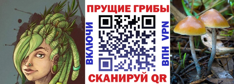 Псилоцибиновые грибы прущие грибы  ОМГ ОМГ вход  shop как зайти  Куса 